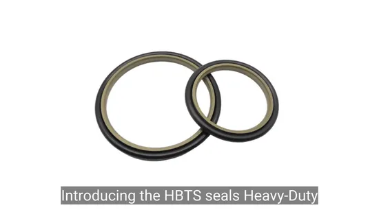 Customizable Mechanical Seal Dust Wiper for Hydraulic Cylinders